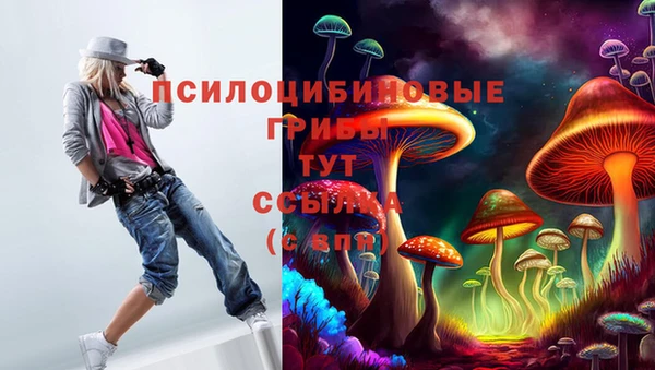 СК Арсеньев