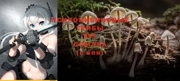 круглые Армянск