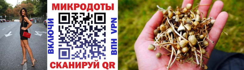 Галлюциногенные грибы Magic Shrooms это какой сайт Унеча