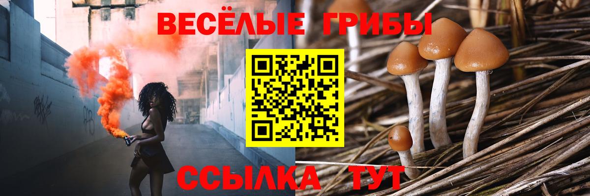 Галлюциногенные грибы Magic Shrooms Унеча